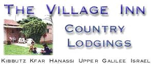 Check in  The Village Inn B&B