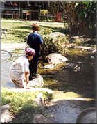 Jordan / Pond