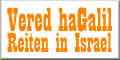 Pferde in Israel
